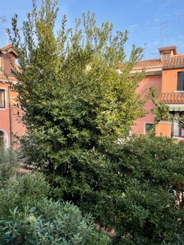 Ca' Della Carita' Apartment Veneţia Exterior foto